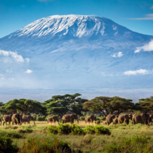 West Kilimanjaro