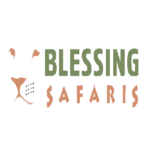 Blessing Safaris